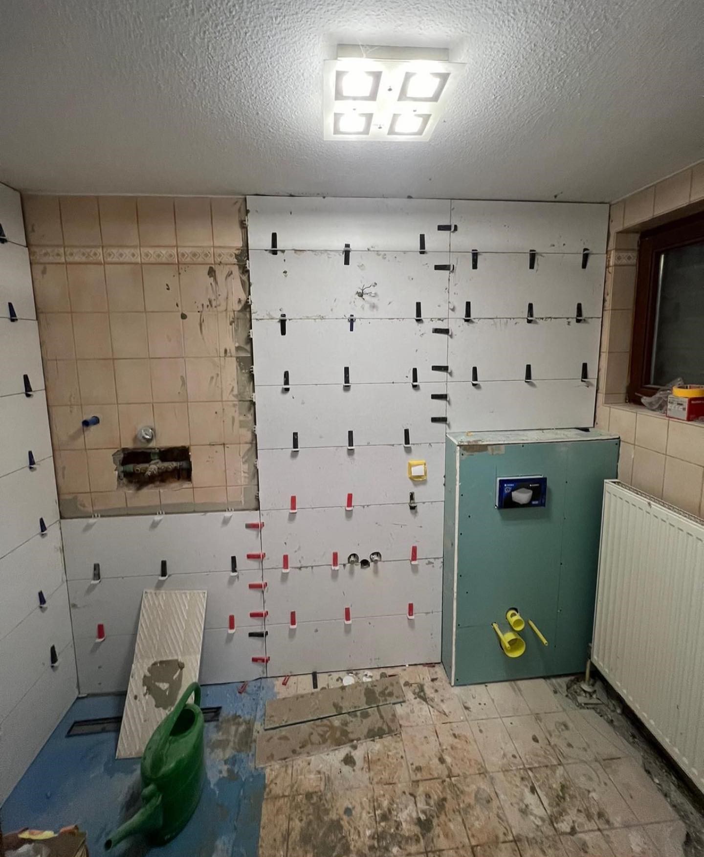 Before image